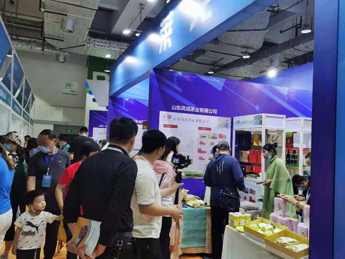 2021濟(jì)南地產(chǎn)品展示交易會 市場拓展與咨詢策劃服務(wù)的創(chuàng)新融合